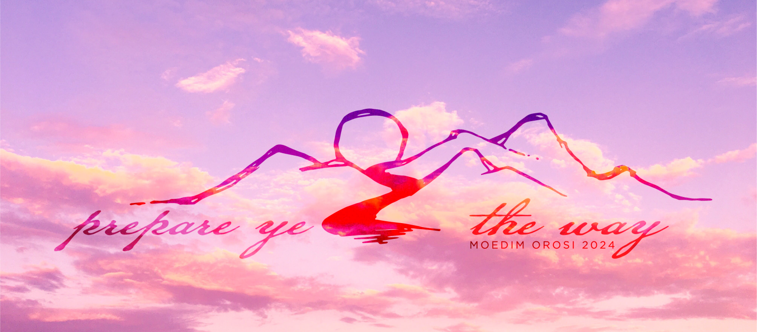 Safe Haven Sustainable Farms